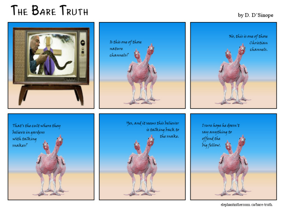 Bare Truth